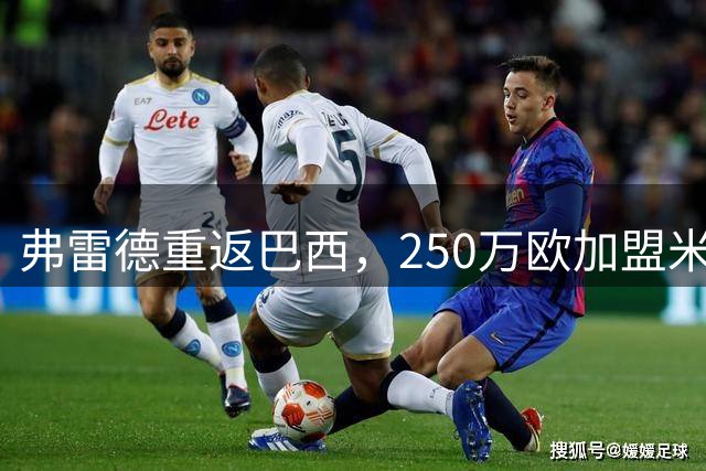 弗雷德重返巴西，250万欧加盟米内罗竞技